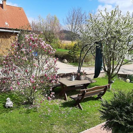 Familienfreundliche Ferienwohnung Auf Dem Lande Monteur Wohnung Hessisch Oldendorf Екстер'єр фото